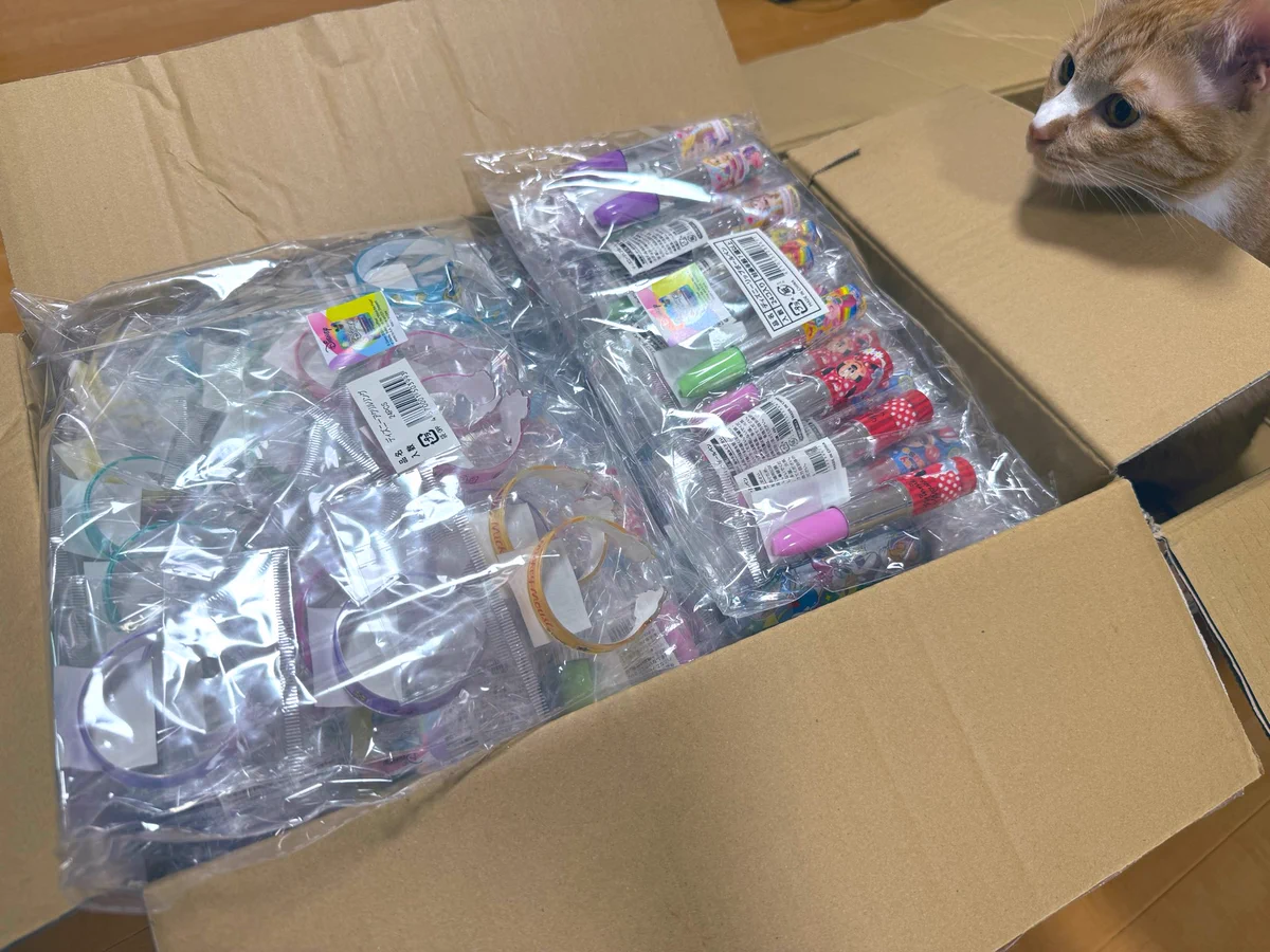 問屋でまとめ買いした大きな箱