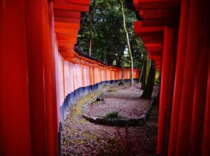 京都・伏見稲荷大社の赤い千本鳥居。シルバーウィーク旅行・計画編の参考写真
