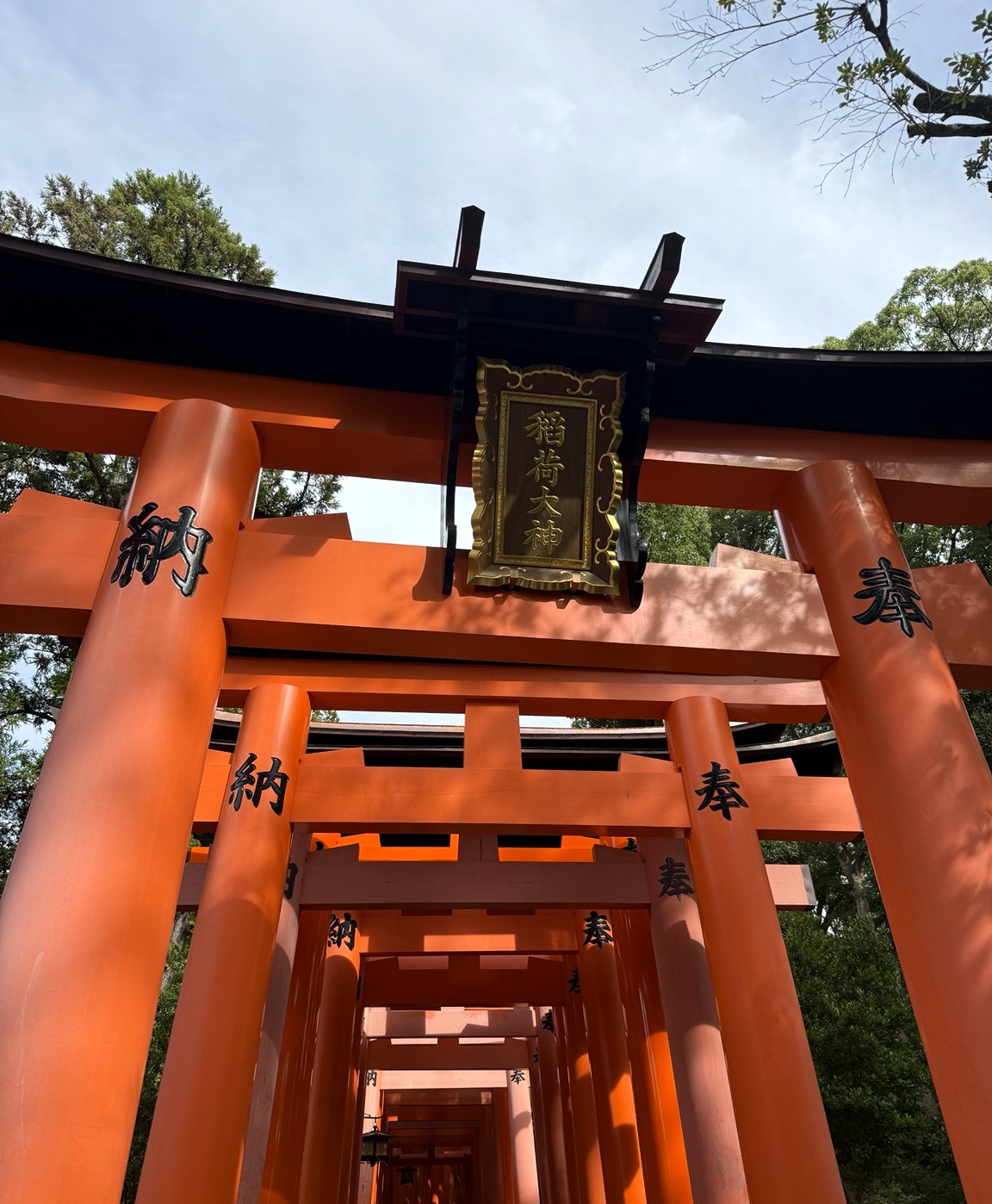 見上げると鳥居が重なっていて、迫力があります!